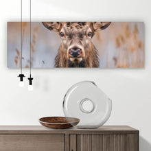 Lade das Bild in den Galerie-Viewer, Acrylglasbild Majestätischer Hirsch in der Natur Panorama