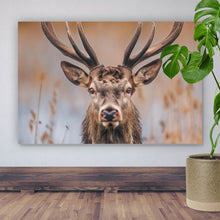 Lade das Bild in den Galerie-Viewer, Spannrahmenbild Majestätischer Hirsch in der Natur Querformat