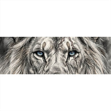 Lade das Bild in den Galerie-Viewer, Spannrahmenbild Majestätischer Löwe Stay Hungry Panorama