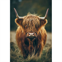 Lade das Bild in den Galerie-Viewer, Aluminiumbild gebürstet Majestätisches Hochlandrind im Naturambiente Hochformat