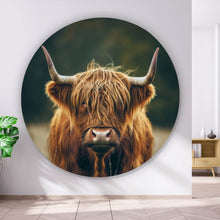 Lade das Bild in den Galerie-Viewer, Aluminiumbild gebürstet Majestätisches Hochlandrind im Naturambiente Kreis