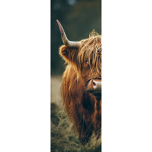 Lade das Bild in den Galerie-Viewer, Poster Majestätisches Hochlandrind im Naturambiente Panorama Hoch