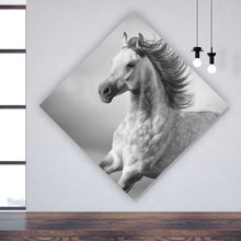 Lade das Bild in den Galerie-Viewer, Poster Majestätisches Pferdeportrait in Bewegung Raute