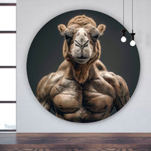 Lade das Bild in den Galerie-Viewer, Aluminiumbild gebürstet Muskelbepacktes Kamel mit beeindruckender Statur Kreis