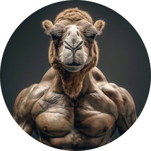 Lade das Bild in den Galerie-Viewer, Aluminiumbild gebürstet Muskelbepacktes Kamel mit beeindruckender Statur Kreis