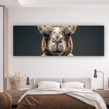 Lade das Bild in den Galerie-Viewer, Spannrahmenbild Muskelbepacktes Kamel mit beeindruckender Statur Panorama