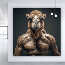 Lade das Bild in den Galerie-Viewer, Spannrahmenbild Muskelbepacktes Kamel mit beeindruckender Statur Quadrat