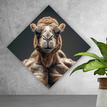 Lade das Bild in den Galerie-Viewer, Poster Muskelbepacktes Kamel mit beeindruckender Statur Raute
