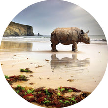 Lade das Bild in den Galerie-Viewer, Aluminiumbild gebürstet Nashorn an der Küste Kreis