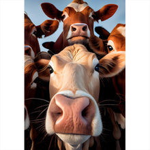Lade das Bild in den Galerie-Viewer, Aluminiumbild gebürstet Neugierige Kühe Nahaufnahme Hochformat