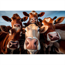 Lade das Bild in den Galerie-Viewer, Leinwandbild Neugierige Kühe Nahaufnahme Querformat