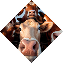 Lade das Bild in den Galerie-Viewer, Acrylglasbild Neugierige Kühe Nahaufnahme Raute