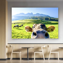 Lade das Bild in den Galerie-Viewer, Leinwandbild Neugierige Kuh auf grüner Wiese vor Berglandschaft Querformat