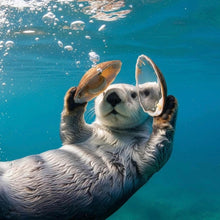 Lade das Bild in den Galerie-Viewer, Spannrahmenbild Niedlicher Otter mit Muscheln im Wasser Quadrat