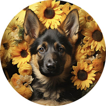 Lade das Bild in den Galerie-Viewer, Aluminiumbild gebürstet Niedlicher Schäferhund umgeben von gelben Blumen Kreis