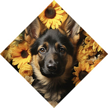 Lade das Bild in den Galerie-Viewer, Acrylglasbild Niedlicher Schäferhund umgeben von gelben Blumen Raute