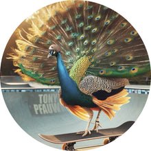 Lade das Bild in den Galerie-Viewer, Aluminiumbild gebürstet Pfau auf Skateboard mit prächtigen Federn Kreis
