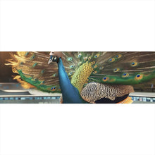 Lade das Bild in den Galerie-Viewer, Poster Pfau auf Skateboard mit prächtigen Federn Panorama