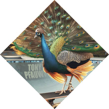 Lade das Bild in den Galerie-Viewer, Acrylglasbild Pfau auf Skateboard mit prächtigen Federn Raute