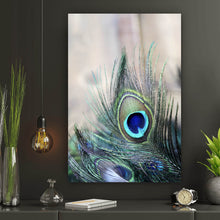 Lade das Bild in den Galerie-Viewer, Poster Pfau Feder Hochformat