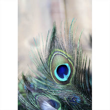 Lade das Bild in den Galerie-Viewer, Poster Pfau Feder Hochformat