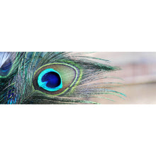 Lade das Bild in den Galerie-Viewer, Leinwandbild Pfau Feder Panorama