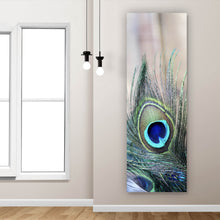 Lade das Bild in den Galerie-Viewer, Spannrahmenbild Pfau Feder Panorama Hoch