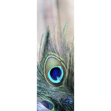 Lade das Bild in den Galerie-Viewer, Acrylglasbild Pfau Feder Panorama Hoch