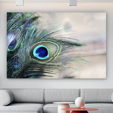 Lade das Bild in den Galerie-Viewer, Poster Pfau Feder Querformat