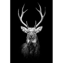 Lade das Bild in den Galerie-Viewer, Leinwandbild Portrait Anmutiger Hirsch Hochformat