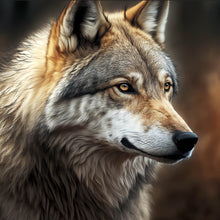 Lade das Bild in den Galerie-Viewer, Poster Portrait eines ausdrucksstarken Wolfes Quadrat