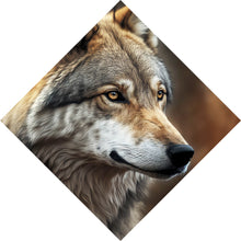Lade das Bild in den Galerie-Viewer, Poster Portrait eines ausdrucksstarken Wolfes Raute