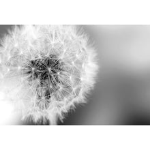 Lade das Bild in den Galerie-Viewer, Leinwandbild Pusteblume bei Dämmerung Querformat