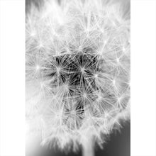 Lade das Bild in den Galerie-Viewer, Acrylglasbild Pusteblume bei Dämmerung Hochformat