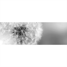 Lade das Bild in den Galerie-Viewer, Acrylglasbild Pusteblume bei Dämmerung Panorama