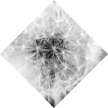 Lade das Bild in den Galerie-Viewer, Acrylglasbild Pusteblume bei Dämmerung Raute