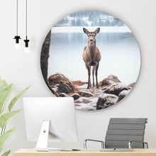 Lade das Bild in den Galerie-Viewer, Aluminiumbild gebürstet Rehe am ruhigen Seeufer betrachten Kreis