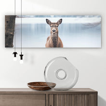 Lade das Bild in den Galerie-Viewer, Acrylglasbild Rehe am ruhigen Seeufer betrachten Panorama