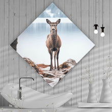 Lade das Bild in den Galerie-Viewer, Acrylglasbild Rehe am ruhigen Seeufer betrachten Raute