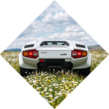 Lade das Bild in den Galerie-Viewer, Aluminiumbild Retro Sportwagen in malerischer Landschaft Raute