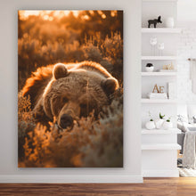 Lade das Bild in den Galerie-Viewer, Aluminiumbild gebürstet Schlafender Bär im Sonnenlicht Hochformat