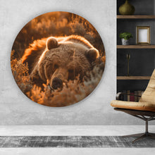 Lade das Bild in den Galerie-Viewer, Aluminiumbild gebürstet Schlafender Bär im Sonnenlicht Kreis