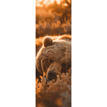 Lade das Bild in den Galerie-Viewer, Leinwandbild Schlafender Bär im Sonnenlicht Panorama Hoch