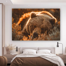 Lade das Bild in den Galerie-Viewer, Aluminiumbild gebürstet Schlafender Bär im Sonnenlicht Querformat