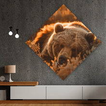 Lade das Bild in den Galerie-Viewer, Aluminiumbild gebürstet Schlafender Bär im Sonnenlicht Raute