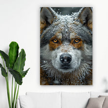 Lade das Bild in den Galerie-Viewer, Poster Schnee bedeckter Wolf mit intensiven Augen Hochformat