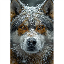Lade das Bild in den Galerie-Viewer, Leinwandbild Schnee bedeckter Wolf mit intensiven Augen Hochformat