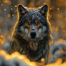 Lade das Bild in den Galerie-Viewer, Leinwandbild Schnee bedeckter Wolf mit intensiven Augen No.2 Quadrat
