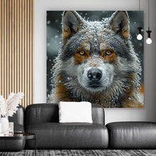 Lade das Bild in den Galerie-Viewer, Leinwandbild Schnee bedeckter Wolf mit intensiven Augen Quadrat