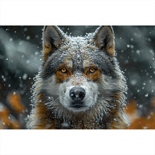Lade das Bild in den Galerie-Viewer, Spannrahmenbild Schnee bedeckter Wolf mit intensiven Augen Querformat